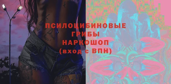 хмурый Верея