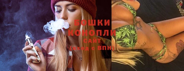 хмурый Верея