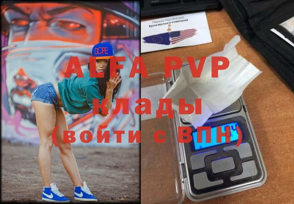 стафф Бородино