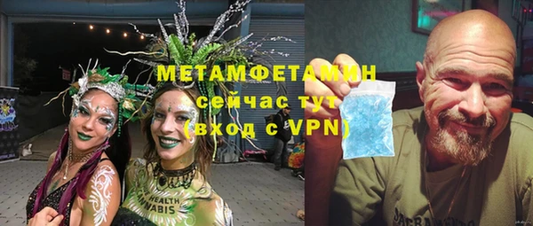 хмурый Верея
