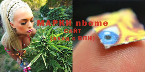 хмурый Верея