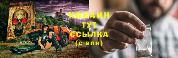 хмурый Верея