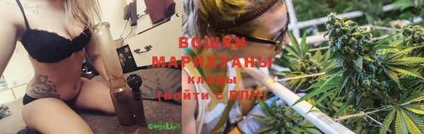 стафф Бородино